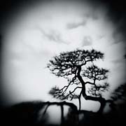 the_japanese_haunting_copyright_2008_luca_lacche_001