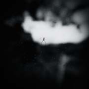 the_japanese_haunting_copyright_2008_luca_lacche_008