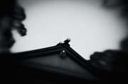 the_japanese_haunting_copyright_2008_luca_lacche_010