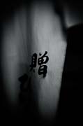 the_japanese_haunting_copyright_2008_luca_lacche_019