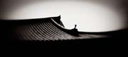 the_japanese_haunting_copyright_2008_luca_lacche_027