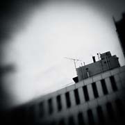 the_japanese_haunting_copyright_2008_luca_lacche_032