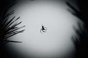 the_japanese_haunting_copyright_2008_luca_lacche_038