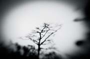 the_japanese_haunting_copyright_2008_luca_lacche_046