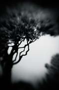 the_japanese_haunting_copyright_2008_luca_lacche_047