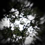 the_japanese_haunting_copyright_2008_luca_lacche_050
