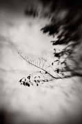 the_japanese_haunting_copyright_2008_luca_lacche_051