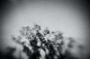 the_japanese_haunting_copyright_2008_luca_lacche_052