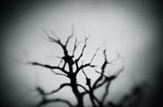 the_japanese_haunting_copyright_2008_luca_lacche_056