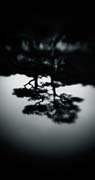 the_japanese_haunting_copyright_2008_luca_lacche_057