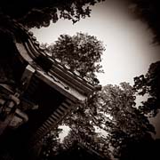 the_japanese_haunting_copyright_2008_luca_lacche_061