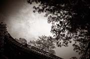 the_japanese_haunting_copyright_2008_luca_lacche_062