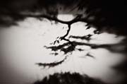 the_japanese_haunting_copyright_2008_luca_lacche_063