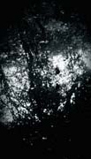 the_japanese_haunting_copyright_2008_luca_lacche_065