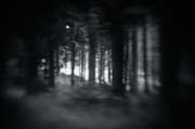the_japanese_haunting_copyright_2008_luca_lacche_072