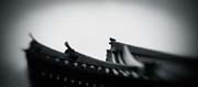 the_japanese_haunting_copyright_2008_luca_lacche_077
