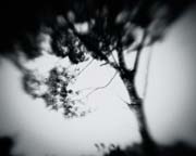 the_japanese_haunting_copyright_2008_luca_lacche_079