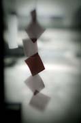 the_japanese_haunting_copyright_2008_luca_lacche_081