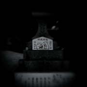the_japanese_haunting_copyright_2008_luca_lacche_085