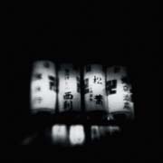 the_japanese_haunting_copyright_2008_luca_lacche_110