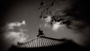 the_japanese_haunting_copyright_2008_luca_lacche_120