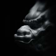 the_japanese_haunting_copyright_2008_luca_lacche_133