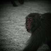 the_japanese_haunting_copyright_2008_luca_lacche_135