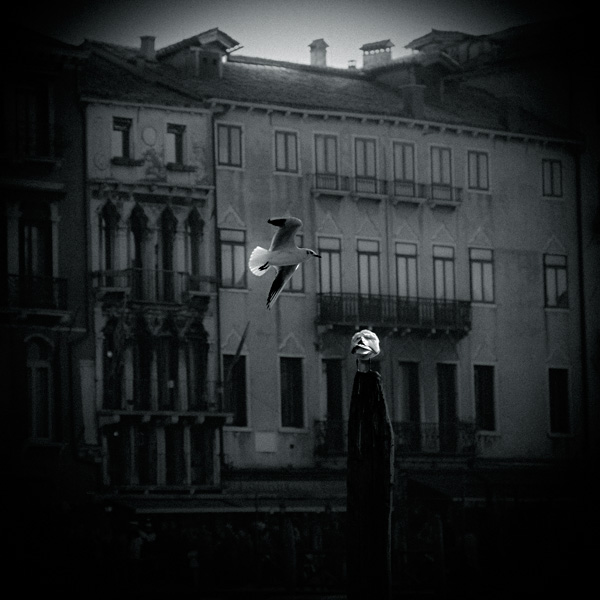 veneziana_copyright_2009_luca_lacche_008