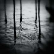 veneziana_copyright_2009_luca_lacche_003