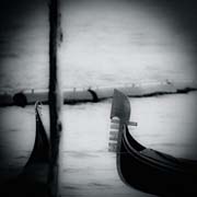 veneziana_copyright_2009_luca_lacche_014