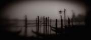veneziana_copyright_2009_luca_lacche_016