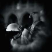 veneziana_copyright_2009_luca_lacche_018