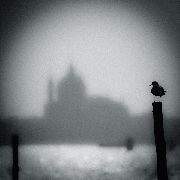 veneziana_revisited_copyright_2010_luca_lacche_007