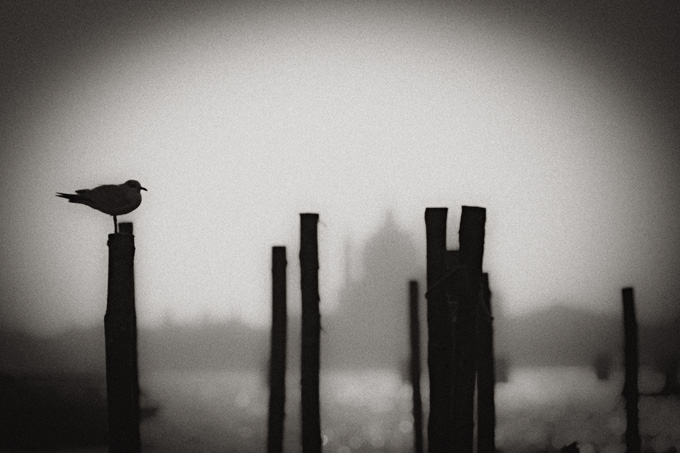 veneziana_revisited_copyright_2010_luca_lacche_019