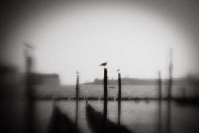 veneziana_revisited_copyright_2010_luca_lacche_029