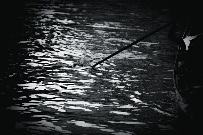 veneziana_revisited_copyright_2010_luca_lacche_066