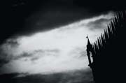 veneziana_revisited_copyright_2010_luca_lacche_001