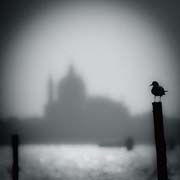 veneziana_revisited_copyright_2010_luca_lacche_007