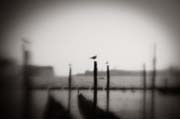 veneziana_revisited_copyright_2010_luca_lacche_029
