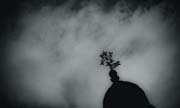 veneziana_revisited_copyright_2010_luca_lacche_033