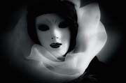 veneziana_revisited_copyright_2010_luca_lacche_070